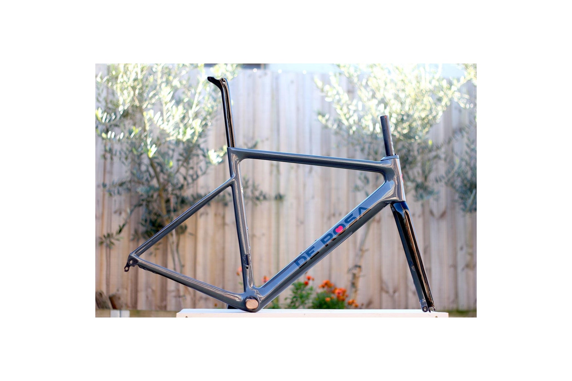 DE ROSA MERAK FRAMESET